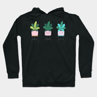 plant in planter STICKER PACK Hoodie